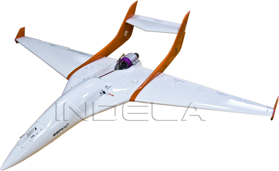 UAV БПЛА Indela BERKUT