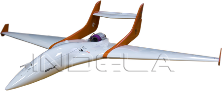 UAV БПЛА Indela BERKUT