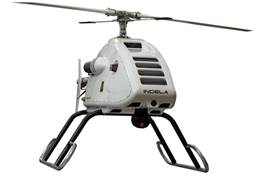 UAV БПЛА Индела