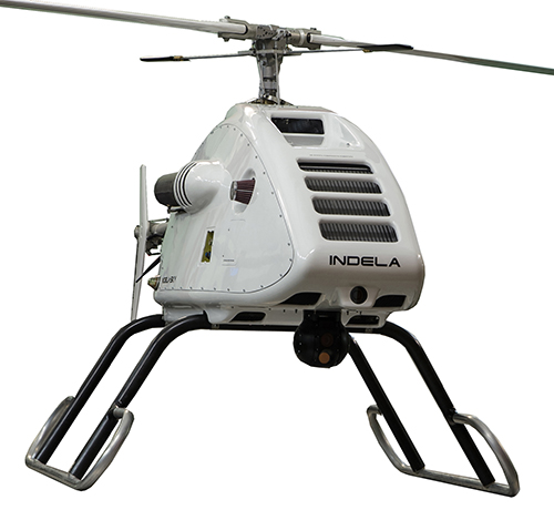 UAV БПЛА Индела