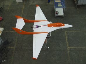 UAV БПЛА INDELA-Беркут