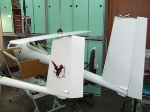 UAV БПЛА INDELA-9